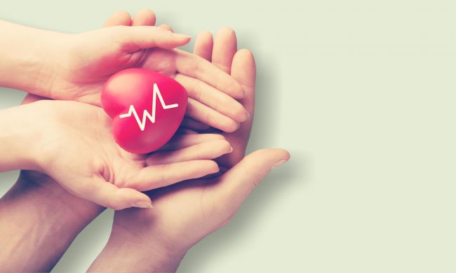 Полисы Армеец подорожали